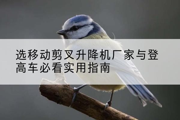 孝感电动升降机厂家-选移动剪叉升降机厂家与登高车必看实用指南