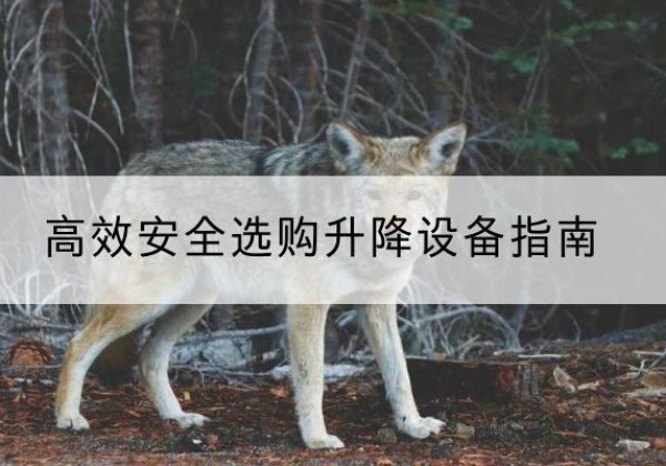 孝感升降货梯厂家推荐-*安全选购升降设备指南
