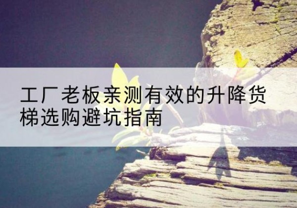 孝感升降货梯怎么选-工厂老板亲测有效的升降货梯选购避坑指南